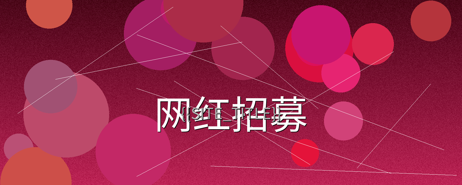 捷克街头网红招募计划宣传横幅